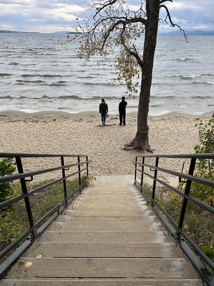 Looking down at staircase that leads to a beach. Two people at the bottom of the stairs, standing by a tree looking at a lake.